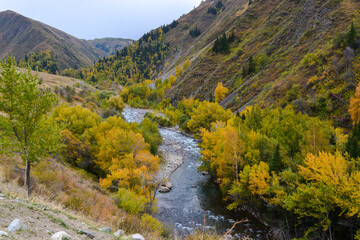 Fototapeta na wymiar Corinne gorge. Fall. Overcast. Ile-Alatau mountains, Almaty region, Kazakhstan.