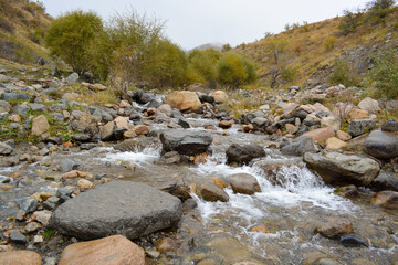 Naklejka na ściany i meble River flows. Fall. Overcast. Ile-Alatau mountains, Almaty region, Kazakhstan.