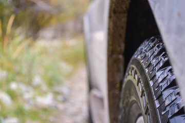 Car tire. Fall. Overcast. Ile-Alatau mountains, Almaty region, Kazakhstan.