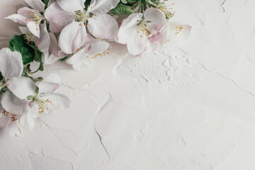 Delicate background of apple flowers lying on white gypsum plaster. Top view, copy space