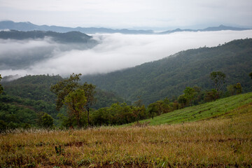 The misty mountain range in the morning is very beautiful. Gives a cool and refreshing feeling hill tribe cultivation area Background image and space for text