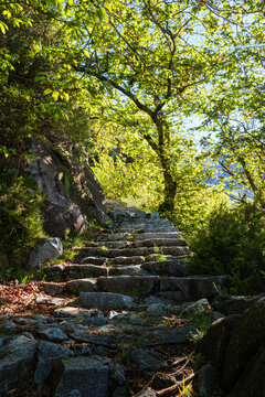 The woods and nature of Valtellina on a spring day in the Italian Alps, near the town of Novate Mezzola, Italy - May 2021