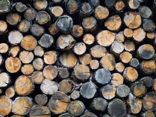 Woodpile of round firewood. Pile of round firewood for the furnace.