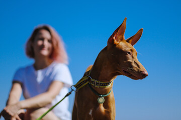 A young woman travels along the coast of the sea with a red dog of the Pharaoh breed. Summer sunny day, blue sky.