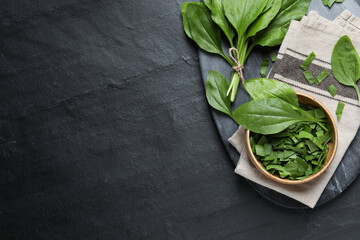 Broadleaf plantain leaves on black slate table, top view. Space for text