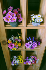 Fototapeta na wymiar Group of colorful flower pot on wooden shelves for home decor