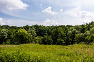 View to the nature reserve Hahnheide