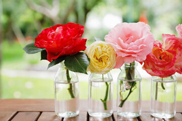 Variation or group of garden roses flowers in small vases or bottles. Colorful flower arrangement or decoration in rainbow colors. Home or garden, terrace decor concept.