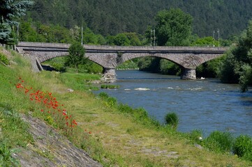 an old stone bridge and a red poppy