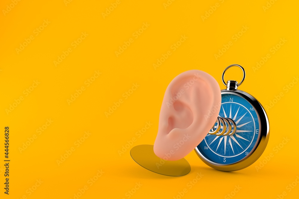 Wall mural ear with compass