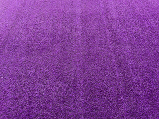 lawn purple  grass texture background grass garden  concept used for making purple background...