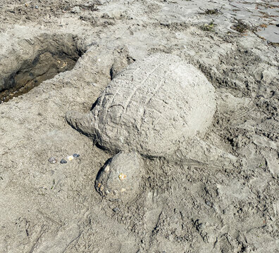 Sea Turtle Sand Sculpture