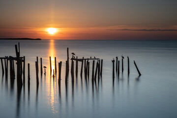 Fototapeta premium Cedar Key awakening