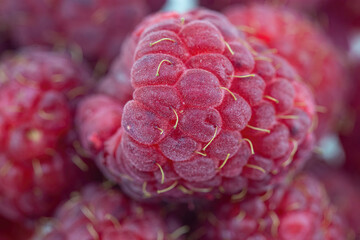 Ripe juicy raspberries close-up on the table
