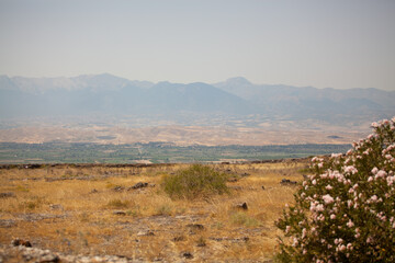 morning in the mountains