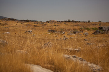 excavation in the field, Greek architecture