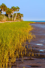 tidelands by the gulf
