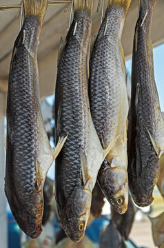 Dried Azov-Black Sea fish mullet