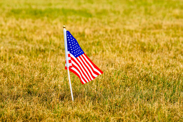 Small American flag on grass lawn