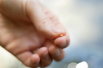 Close up of Christian woman holding the mustard seed in fingers. Strong faith in God and Jesus...