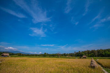 The view of the sky is pleasing to the eye.