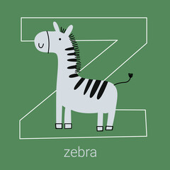 Vector flat illustration for children's alphabet. The letter " Z " and a zebra in the foreground.