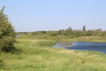 Summer On The Wetlands, Pylypow Wetlands, Edmonton, Alberta