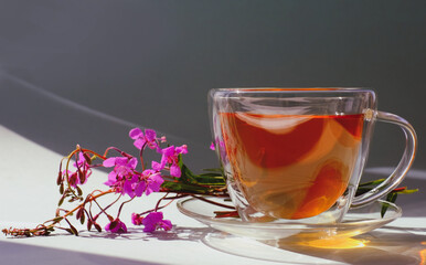 Glass cup of tea with willow-herb with sunlight and shadows