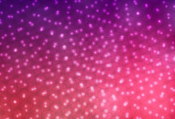Dark Purple, Pink vector background with spots.