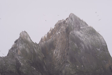 Foggy Jagged Rocks popping out the Pacific Ocean with birds flying around it.