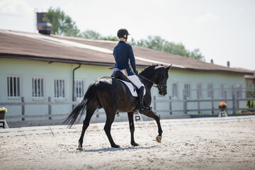 portrait of man rider and black stallion horse galloping during equestrian dressage competition in summer in daytime