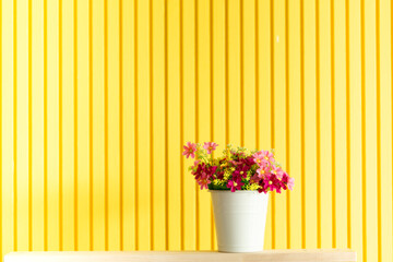Multi-colored bouquet in white flower pot for Summer with Yellow background.