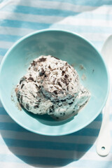 Chocolate cookie vanilla ice creams in bowl	
