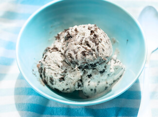Chocolate cookie vanilla ice creams in bowl	