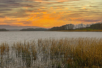 Fototapeta na wymiar A beautiful bright sunset on the shore of the lake in autumn.