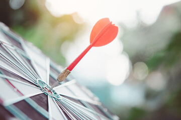 Business marketing success concept. Red dart arrow in center of the target dartboard. Bullseye is a...