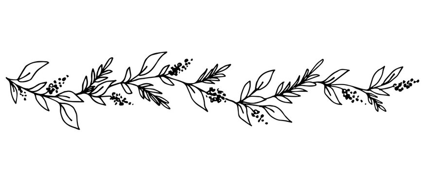 Simple hand-drawn vector drawing in black outline. Long floral banner, garland of leaves, inflorescences. Flower and branch. Ink sketch. Horizontal patterned border.