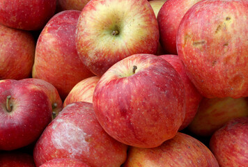 close-up organic red apples in a market