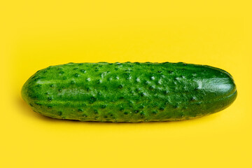 cucumber on a white background