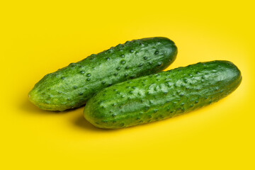 Fresh cucumbers on yellow background.