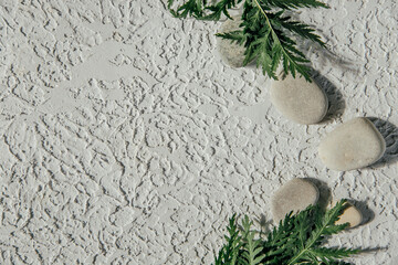 fern and stones on concrete background 
