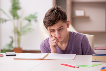 Schoolboy preparing for exams at home