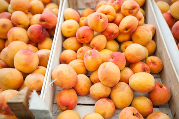 Heap of fresh ripe apricot at local farmers market
