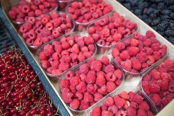 Sweet Ripe Raspberries At Open Market. Healthy Food. Organic