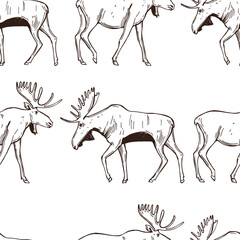 Moose. Vector  pattern.