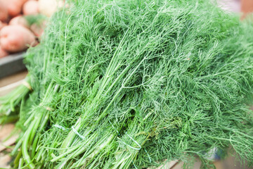 Bunch of fresh dill. Aromatic spice herb. Local farmer market