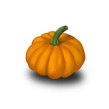 Colored pumpkin art illustration, 3d - image