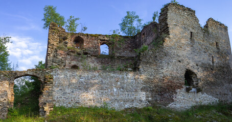 Ruiny zamku w Świecie