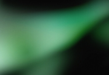 Grainy Blurred Gradient Background, Matte Glass Effect, Green Natural
