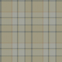 Seamless pattern of scottish tartan plaid. Repeatable background